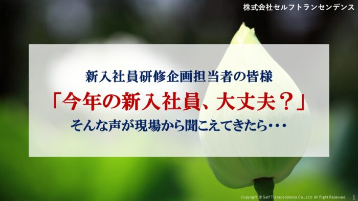 新入社員研修年間施策